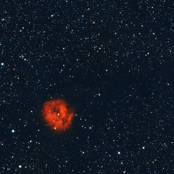 IC 5146, Cocoon Nebula