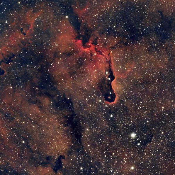 IC 1396A, Elephant's Trunk Nebula
