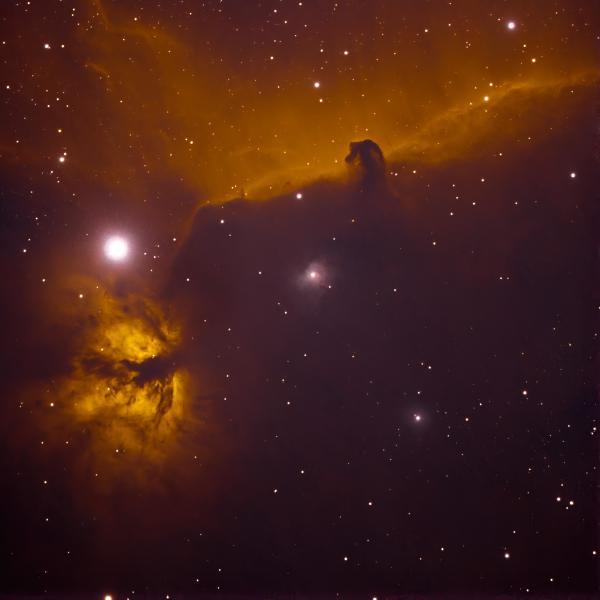 Horsehead and Flame Nebulae