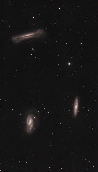 Leo Triplet (M65, M66, and NGC 3628)
