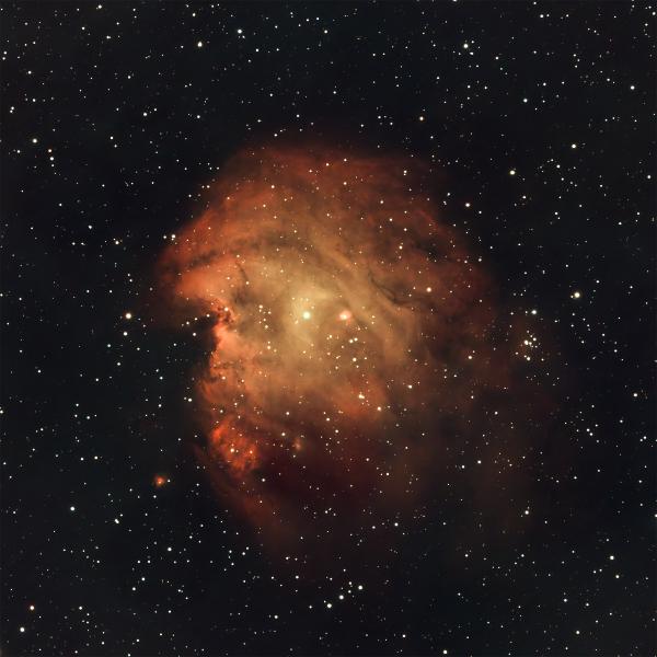 NGC 2174, Monkey Head Nebula