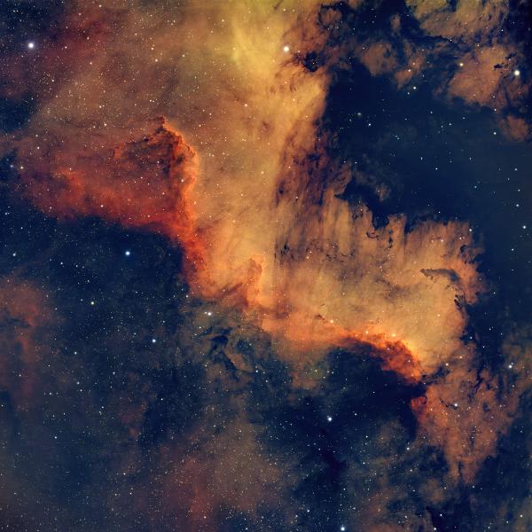 Cygnus Wall, part of NGC 7000 North America Nebula