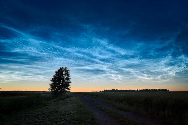 Noctilucent clouds, Kurėnai, near Ukmergė